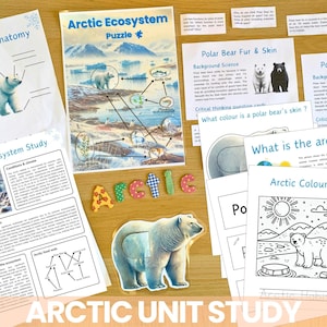 Pode incluir: Materiais educativos para uma unidade de estudo sobre o Ártico com ilustrações e texto coloridos. Os materiais incluem um diagrama de teia alimentar, uma folha de informações sobre a pelagem e a pele do urso polar, uma página para colorir e um quebra-cabeça.