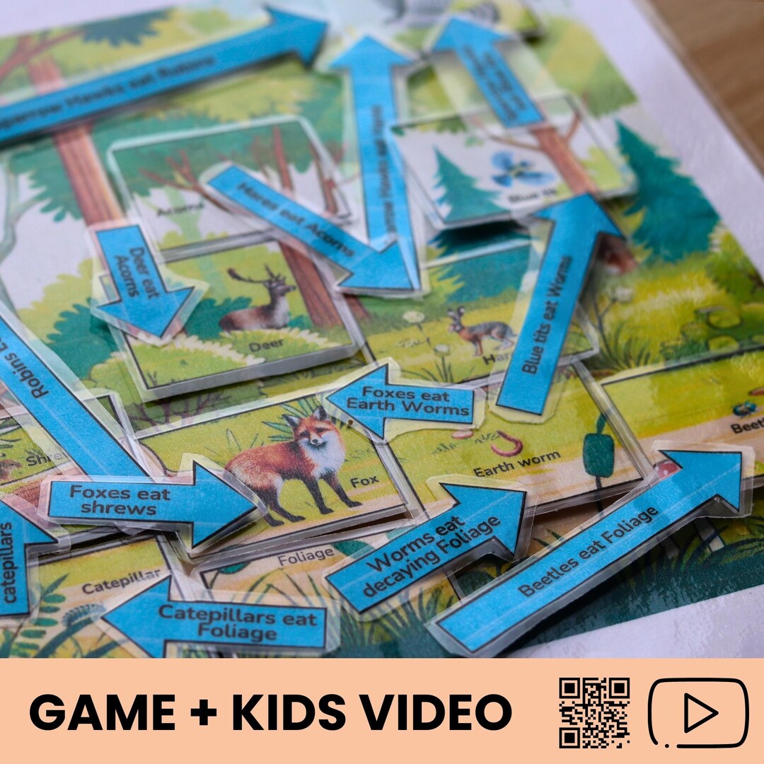 Ecosystems Biology Printable Activity Build a Food Web in a Forest ...