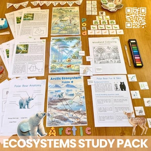 May include: A colourful educational set for learning about different ecosystems. The set includes a variety of activities, such as puzzles, colouring pages, and anatomy diagrams. The set also includes a QR code for additional resources. The set is perfect for homeschooling or classroom use.