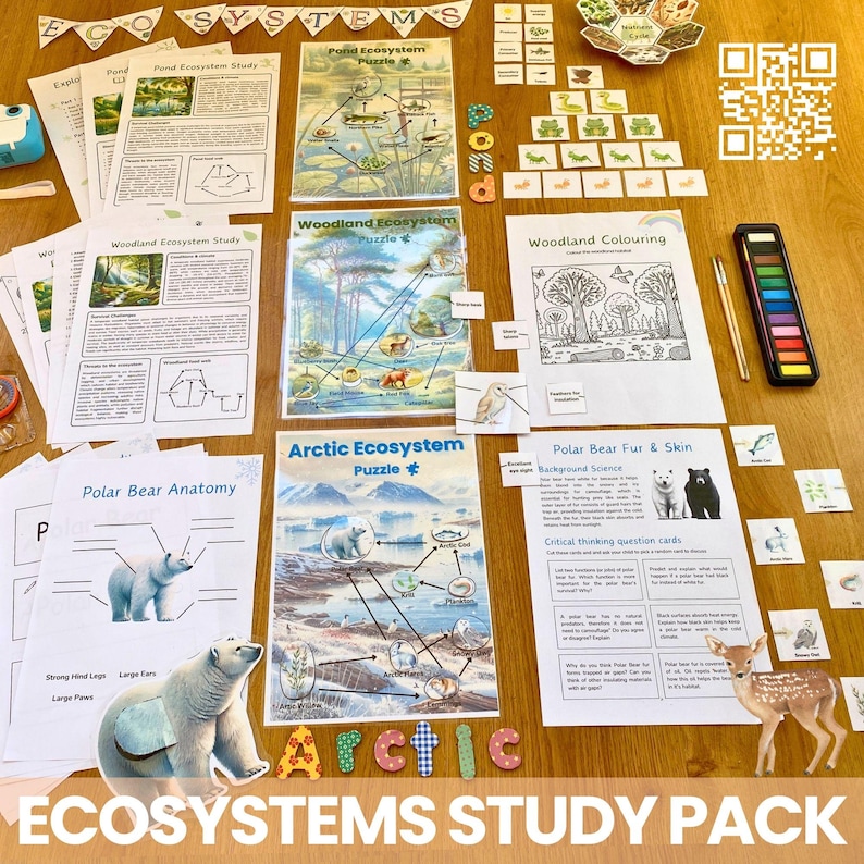 Printed and laminated photo of a selection of pages and activities from the pack