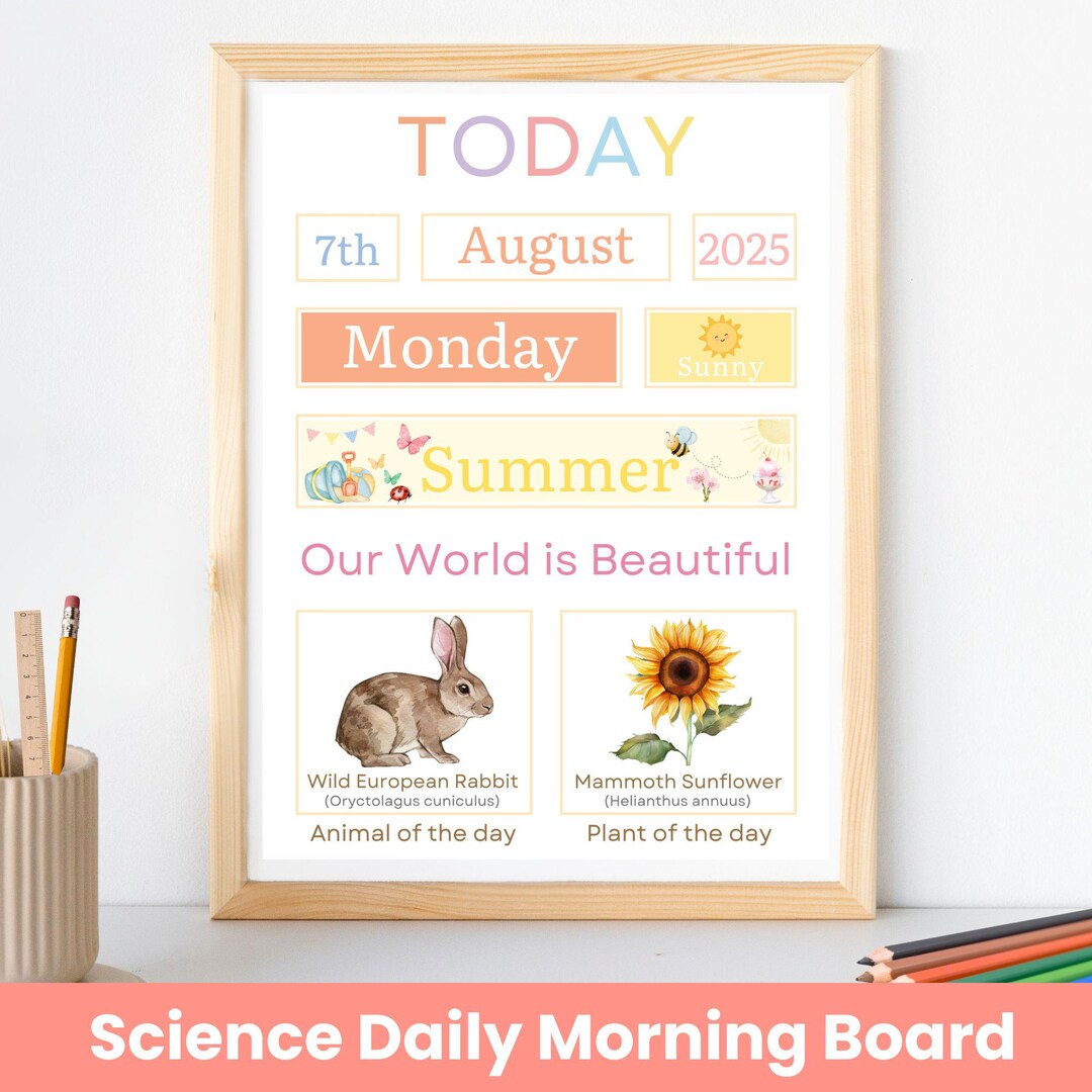 Daily Morning Board - Circle Time Science - Kids Calendar - Homeschool ...
