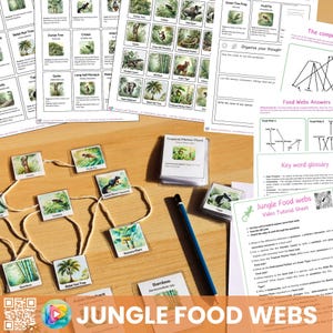 Build a food web - Jungle Ecology Study - Homeschooling Biology Printable Resource - Montessori lessons - Digital Nature Activity