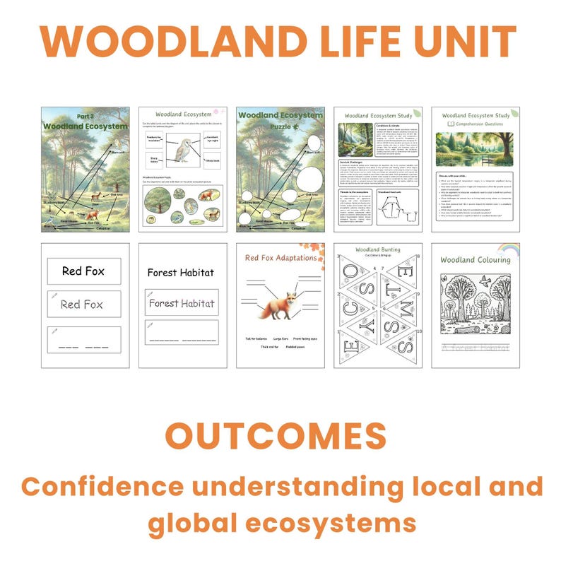 Digital image of all sheets in the woodland life unit