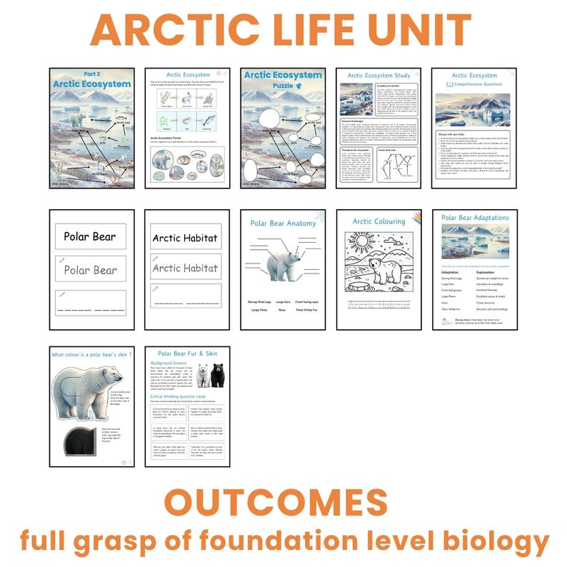 Digital image of all sheets in the arctic life unit