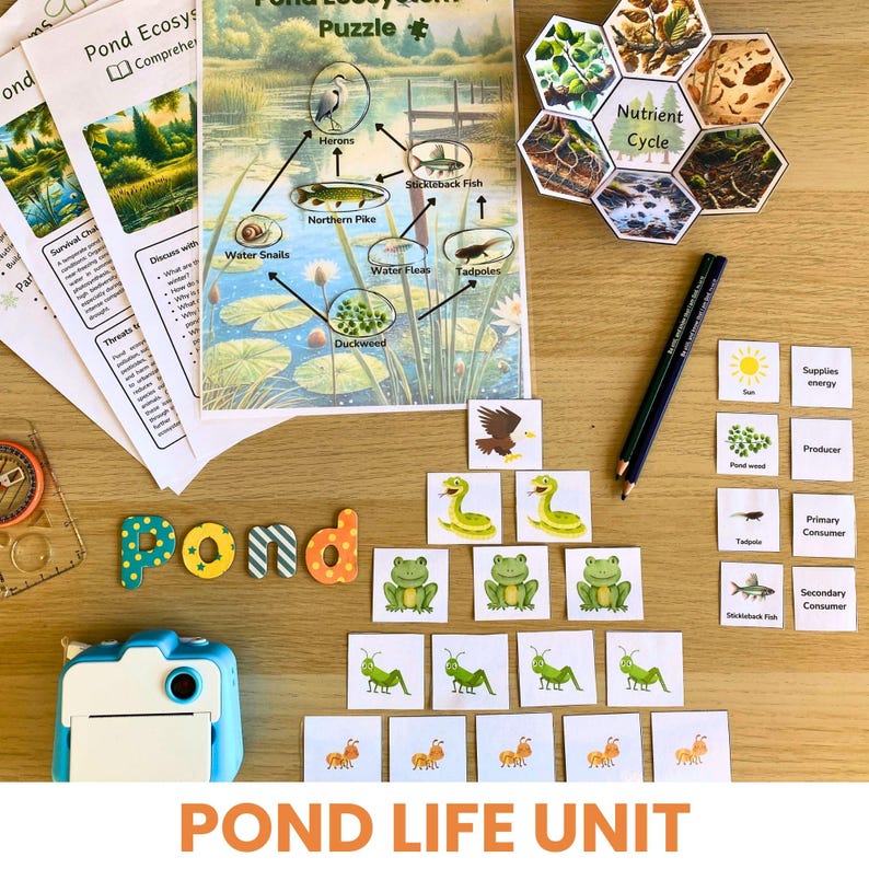 Photo of printed and laminated pond ecosystem resource