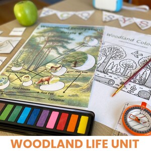 printed and laminated ecosystem food web puzzle activity