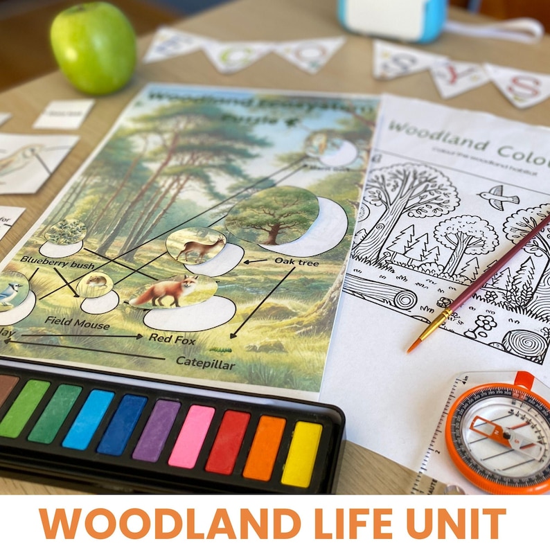 printed and laminated ecosystem food web puzzle activity