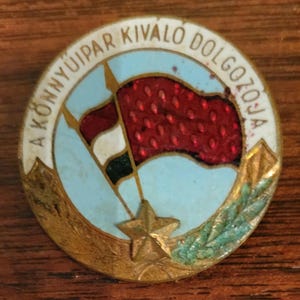 Vintage Hungarian Military Pin