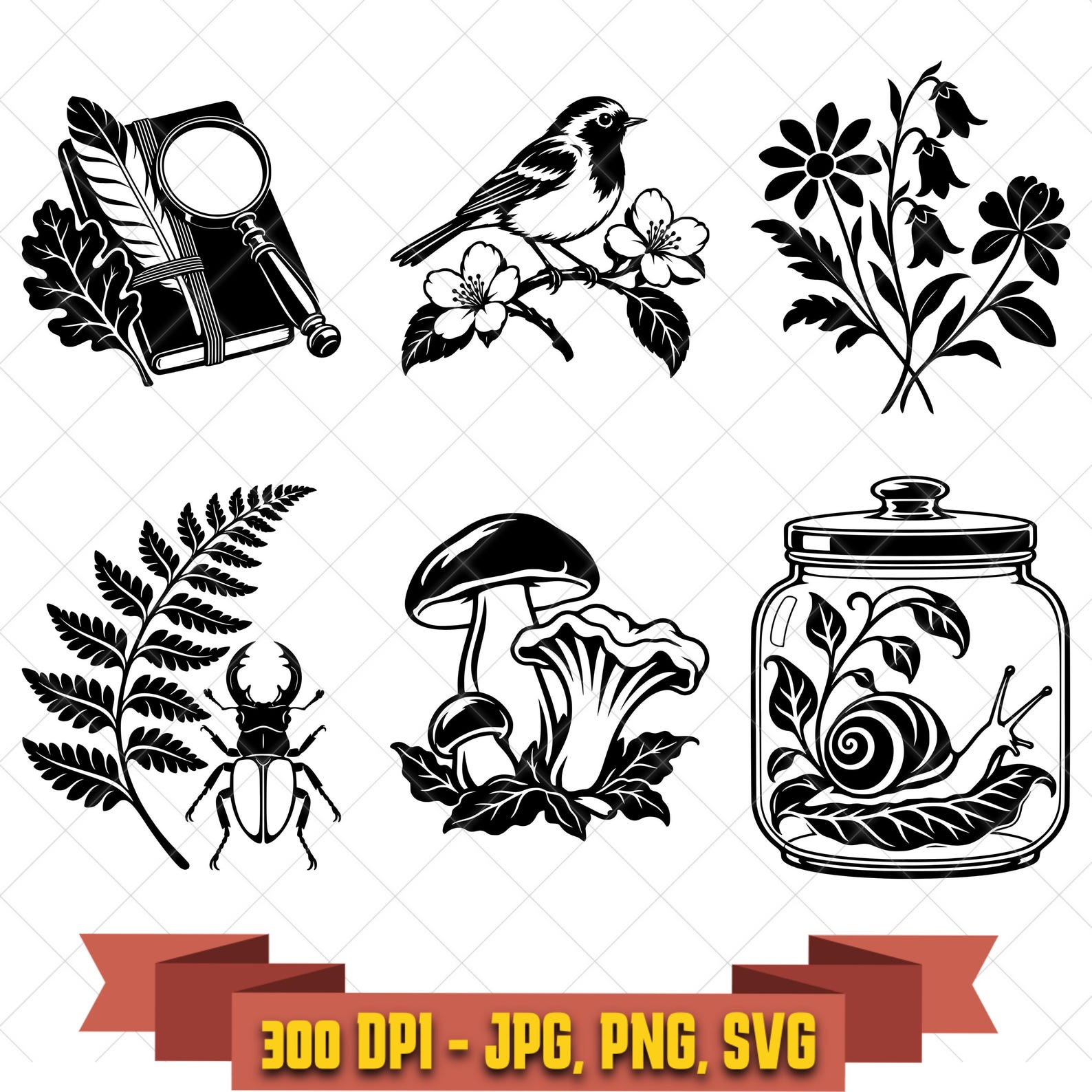 Backyard Botanist SVG Bundle, 6 Wildflower Fern Mushroom and Wildlife Designs, PNG JPG in the Decorative Elements collection by KleanKutChaos.