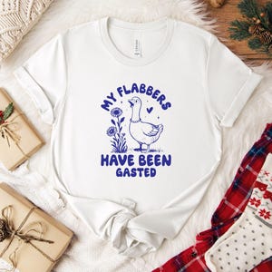 My Flabbers Have Been Gasted Shirt, Funny Meme Tshirt, Inappropriate Adult Humor Tee, Sarcastic Shirt, Humorous Gift for Her