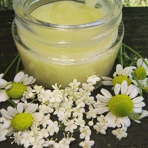 Op de afbeelding: Een heldere glazen pot gevuld met een lichtgroene, romige substantie. De pot is omringd door witte madeliefjes met gele centra en kleine witte bloemen, wat wijst op een natuurlijk huidverzorgingsproduct.
