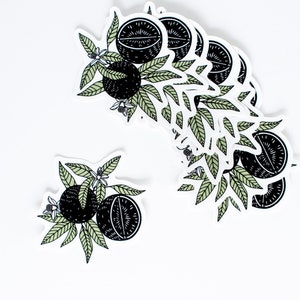 Citrus sticker, waterproof sticker, vinyl sticker, oranges sticker, fruit sticker
