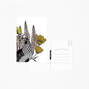 carte postale de caille, carte postale design de jardin, papeterie florale, carte postale florale, carte postale californienne, papeterie californienne