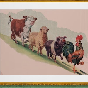 vintage farm animals, rooster, pig , cow,  sheep illustration digital download