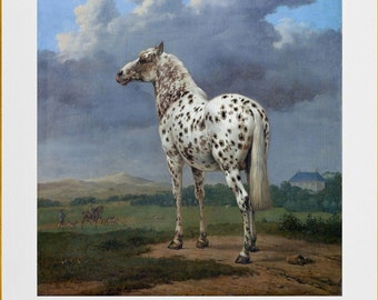 leopard spotted horse appaloosa , antique illustration  DIGITAL DOWNLOAD