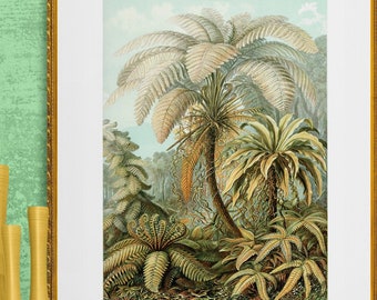 jungle scenery, palm trees, felicinae ,ferns illustration ,Ernst Haeckel digital download