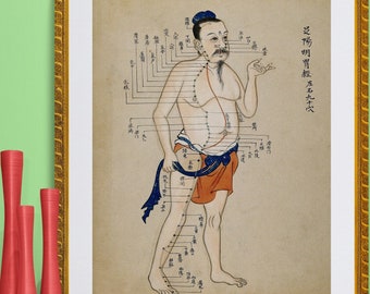 antique Chinese acupuncture and moxa points chart illustration anatomical print DIGITAL DOWNLOAD