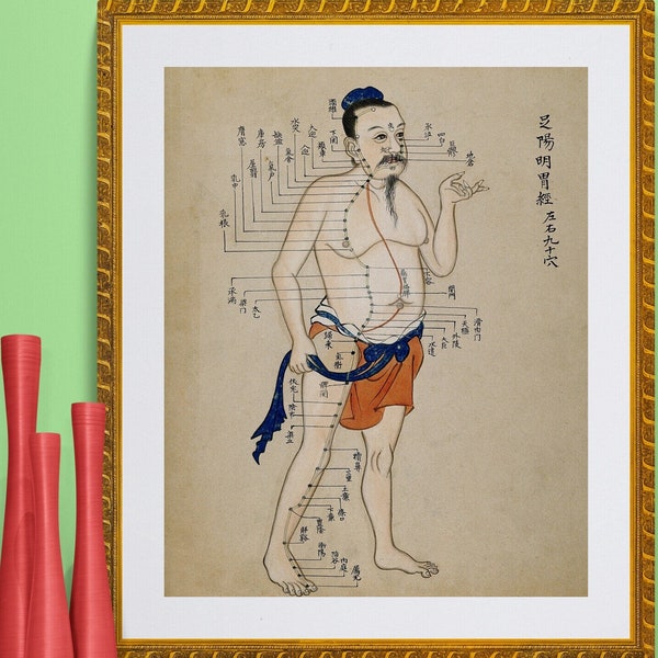 antique Chinese acupuncture and moxa points chart illustration anatomical print DIGITAL DOWNLOAD