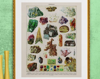 precious stones and minerals , antique French learning board illustration, digital download