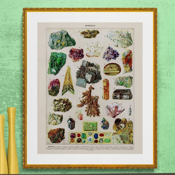 precious stones and minerals , antique French learning board illustration, digital download