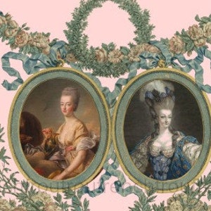 Marie Antoinette queen of France antique French illustration ornate roses frame DIGITAL DOWNLOAD