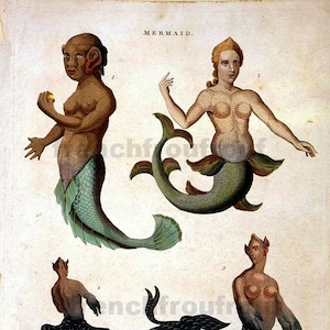 antique mermaid merman sea monsters illustration, digital download