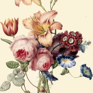 antique bouquet of peonies pink roses fleur de lys lilies tulips illustration digital download