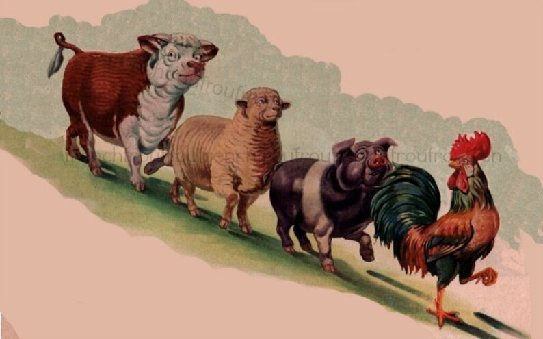 Crayon De Marquage Bétail Freshsell - Rouge, Bleu Ou Vert - Pour Vaches, Moutons, Porcs