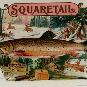 antique victorian fly fishing hunting cigar box label illustration DIGITAL DOWNLOAD