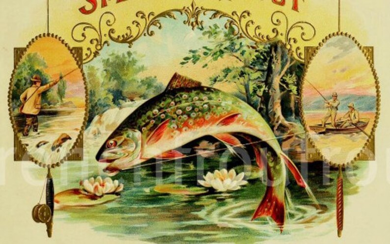 Antique Victorian Speckled Trout Fly Fishing Cigar Box Label - Etsy