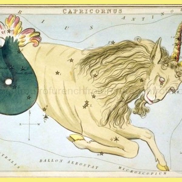 antique capricorn constellation lithograph