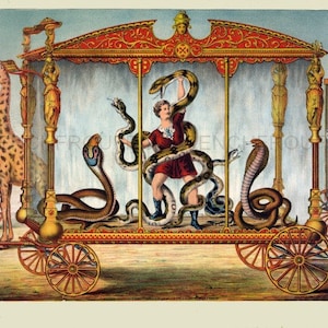 Puede incluir: Ilustración de circo vintage con un vagón decorado, un artista y serpientes. Una jirafa y un perro están en jaulas a ambos lados. El vagón tiene adornos dorados y rojos.
