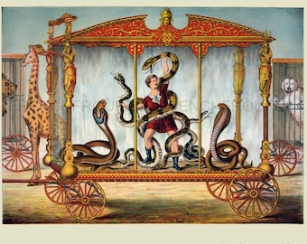 antique victorian circus illustration snake wagon lithograph digital download