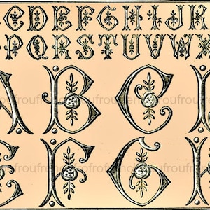 antique french art deco alphabet monogram roses illustration embroidery pattern digital download