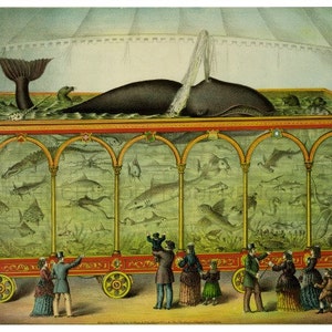 antique victorian traveling aquarium circus whale illustration DIGITAL DOWNLOAD