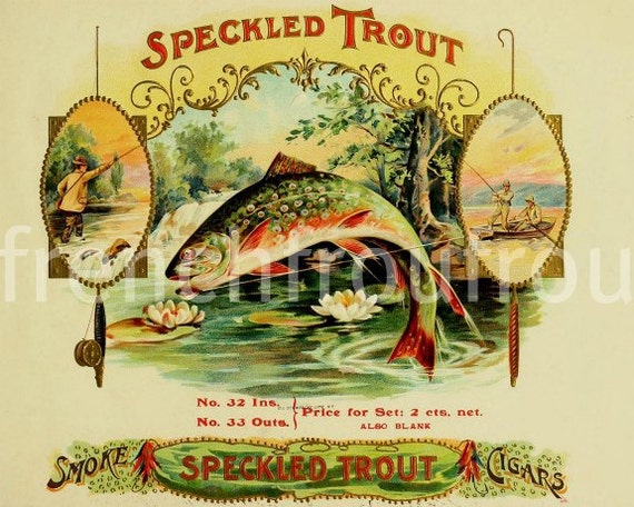 Antique Victorian Speckled Trout Fly Fishing Cigar Box Label 1905