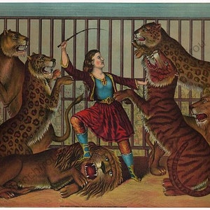antique victorian lithograph the taming of lions illustration digital download