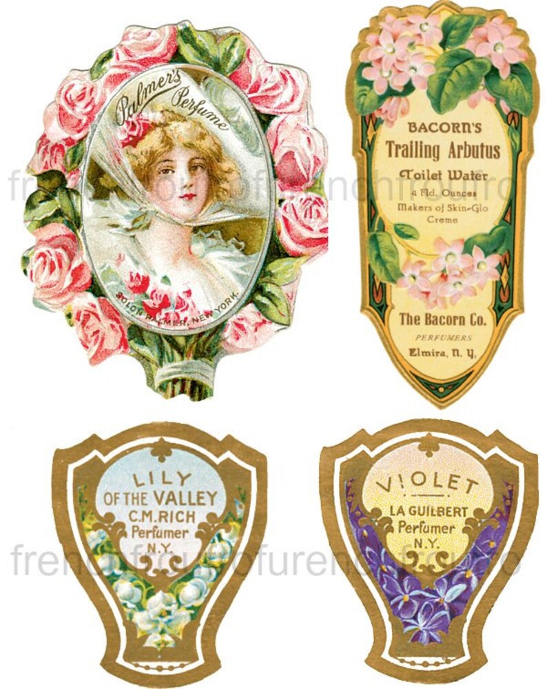 antique victorian perfume labels illustration digital