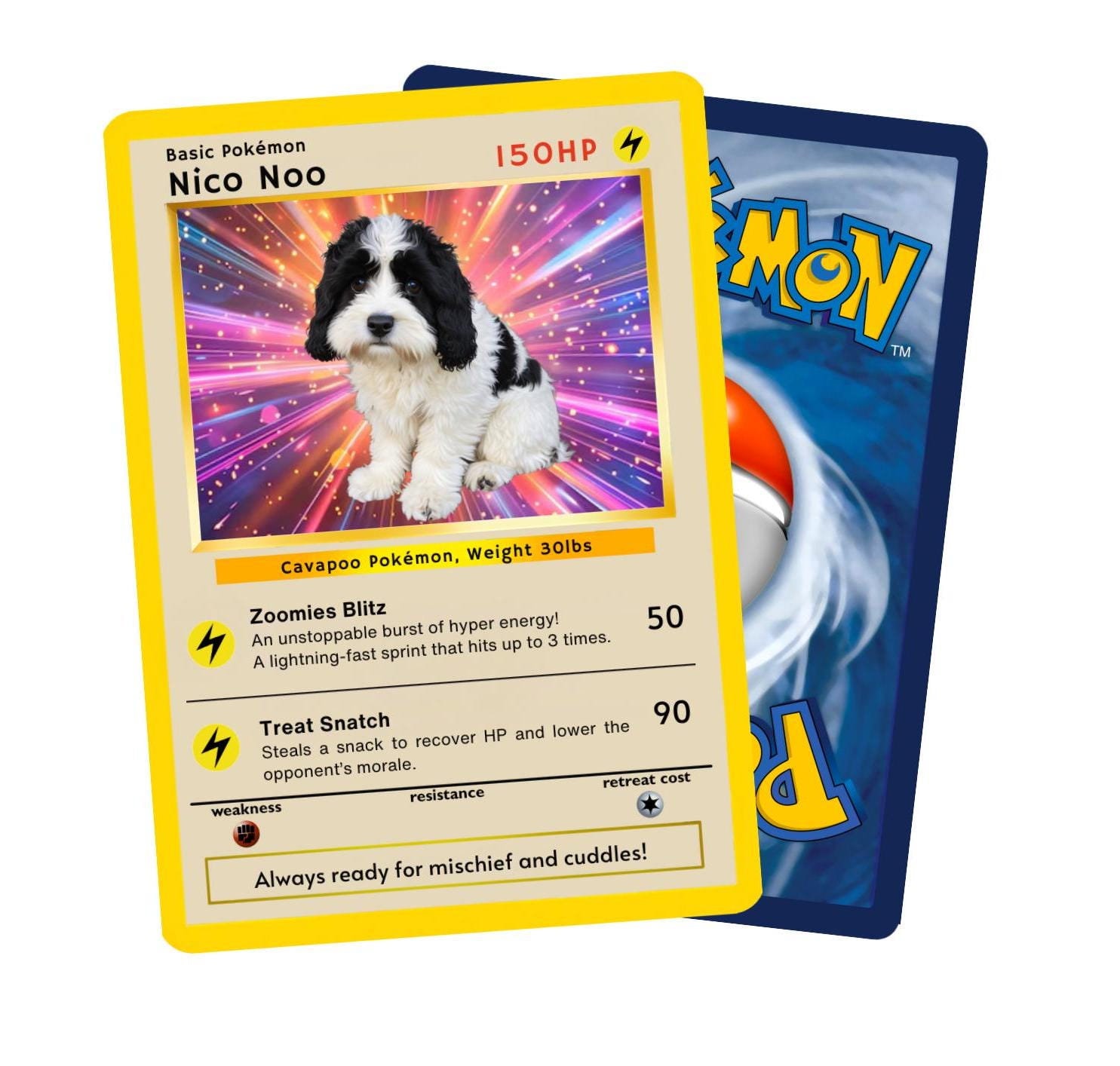 Pokepet - Etsy