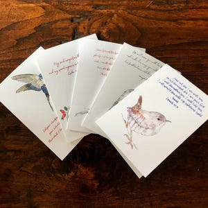 Pacote de 5 cartões de felicitações cristãos com versos bíblicos em aquarela de pássaros britânicos
