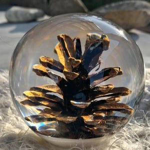 May include: A clear glass sphere encasing a detailed pine cone. The pine cone is brown and gold, with intricate textures. The sphere sits on a white, fuzzy surface, with natural light illuminating the scene.