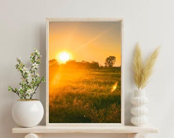 Cattle Grazing Sunset - Digital File