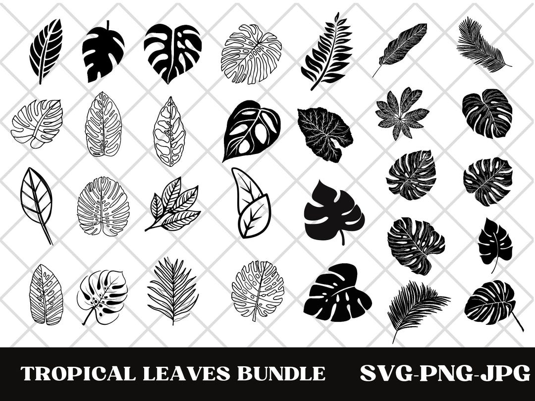 Tropical Leaves Svg | Monstera Leaf Svg Clipart | Commercial Use Svg ...