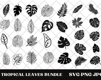 Tropical Leaves Svg | Monstera Leaf Svg Clipart | Commercial Use Svg ...