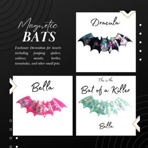 Magnetic Bat Decoration for jumping spider, enclosures, insects, and other inverts