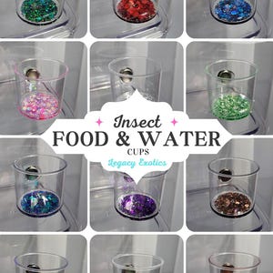 Insect food and water cups for spiders, jumping spiders, mantis, isopods, hatchling mourning geckos, widows, arboreal sling tarantulas