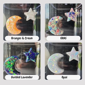 Pacchetto combinato Luna e Stella Magnetiche - Decorazione per Recinto di Ragni e Insetti