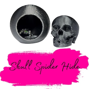 Skull Topper Magnetic Spider Hide - for jumping spiders, arboreal tarantulas, and other insects