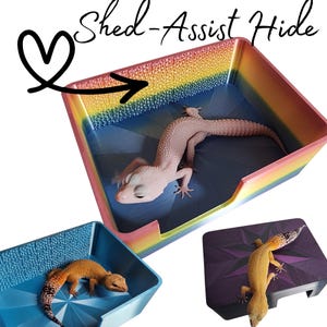 Op de afbeelding: De afbeelding toont drie reptielen schuilplaatsen in verschillende kleuren en ontwerpen. Eén schuilplaats is regenboogkleurig met een gekko erin. De tekst "Shed-Assist Hide" staat bovenaan. Een andere schuilplaats is blauw met een gekko, en de derde is paars met een gekko.