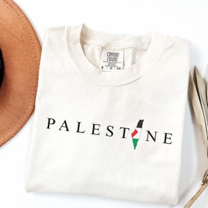 Komfortfarben freies Palästina-Hemd, palästinensische Leben Matter-Hemd, menschliche Bürgerrechte-Hemd, Gleichheits-Hemd, palästinensischem Hemd, Frieden-T-Stück